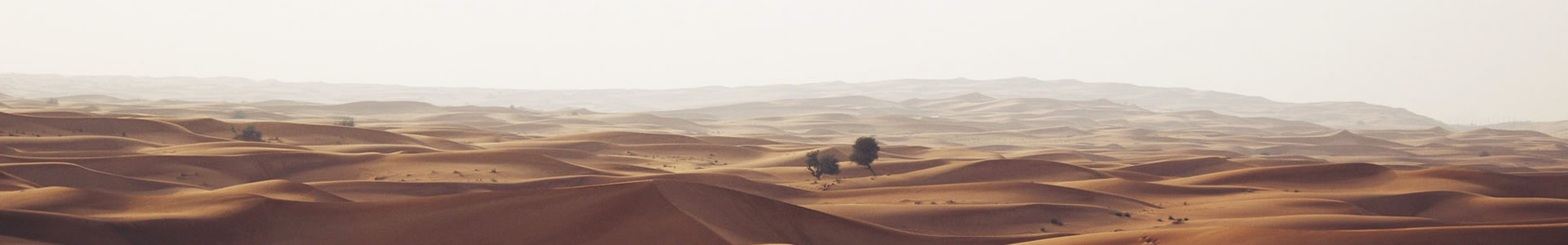˺ԶƼ޹˾